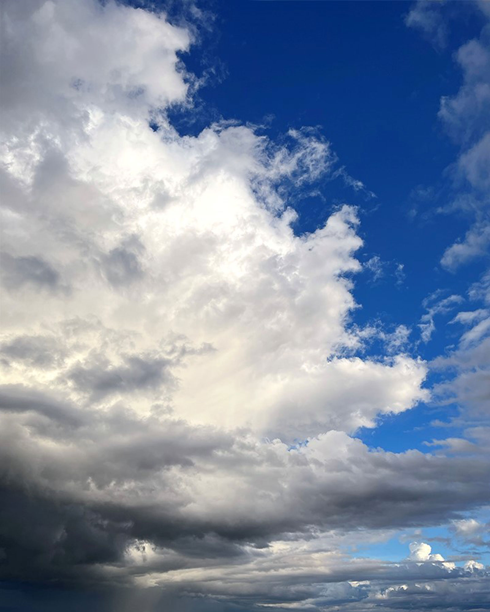 Fotografie | Galerie Sophie Vandre